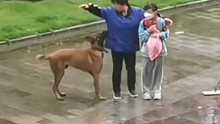没牵绳的大狗围着女孩转，保洁阿姨挺身而出护住小女孩