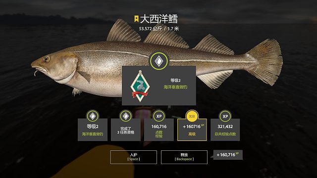 34图第二条星大西洋鳕