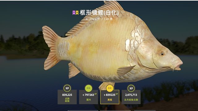 世界第一框型白化