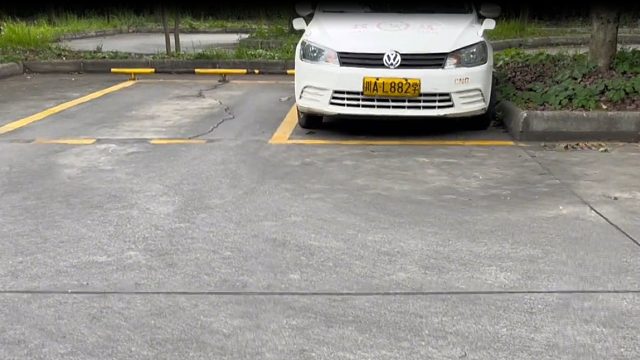 你这个倒车入库我是该说你呢，还是夸你厉害呢