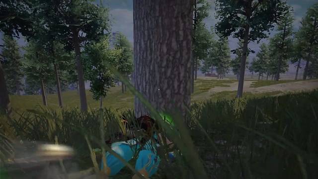 功夫再高也怕老六