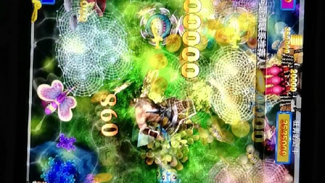 真人游戏，哥哥们