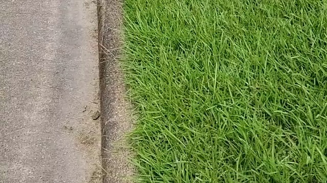 师傅，两边不动，中间推光！