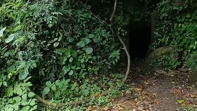 深山里发现的凉风洞，一鼓强劲的冷气从洞内冲出来，犹如一个天然大空调