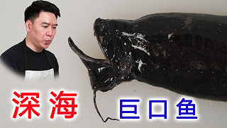 世界上最黑的魚，深海巨口魚，出鍋后連海王都不敢下嘴了