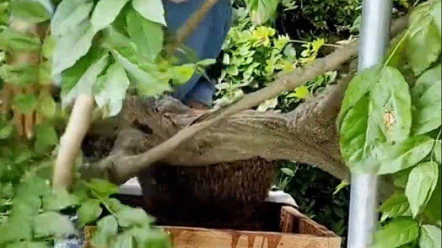 高手在民间，动作要快姿势要帅