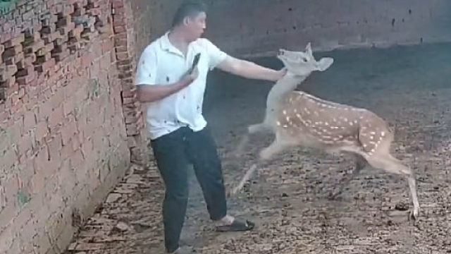 幸亏这哥们儿有两下子