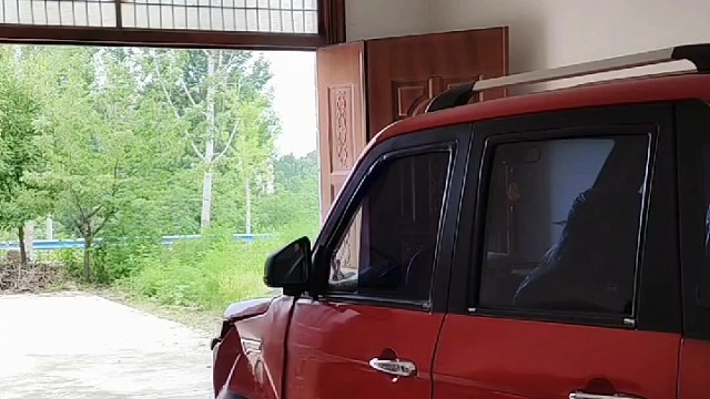 摘点桃子回来吃