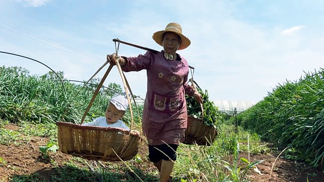 奶奶带1岁孙子下地干活，“1分31秒”意外发生了
