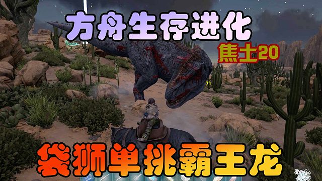 方舟生存进化 焦土20 抓一只高级袋狮，硬刚霸王龙