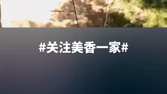 ＃关注美香一家＃