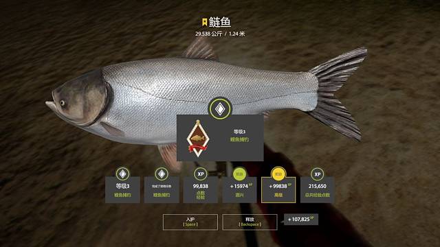 鲢鱼星终给了开心