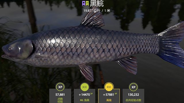 俄罗斯钓鱼4-14K赛杆 10K轮子钓19K黑草