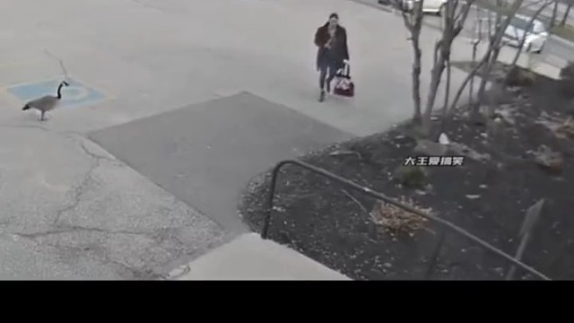 笑死了跟着上车了