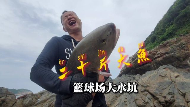 水坑越大鱼越大，阿峰被二十多斤重的大鱼掀翻，两个人根本抱不住