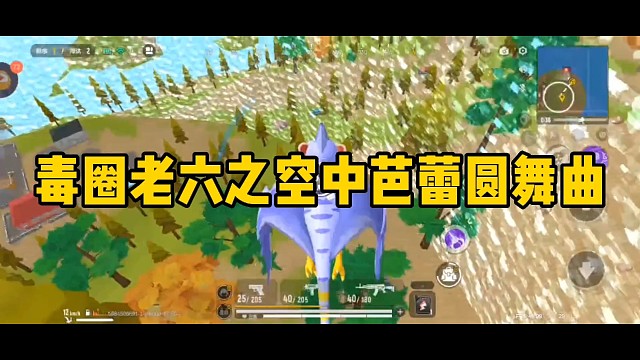 毒圈老六之空中芭蕾圆舞曲