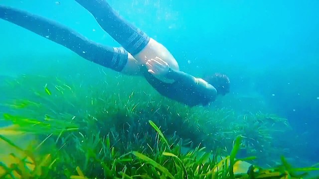 你是那个段位的？