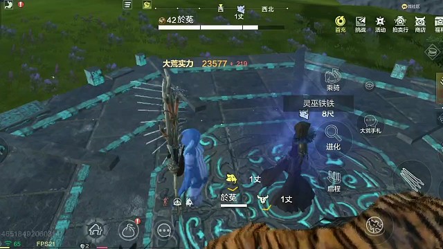 我的第一只进化宠