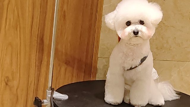 成为apex糕手 開心每一天片段1