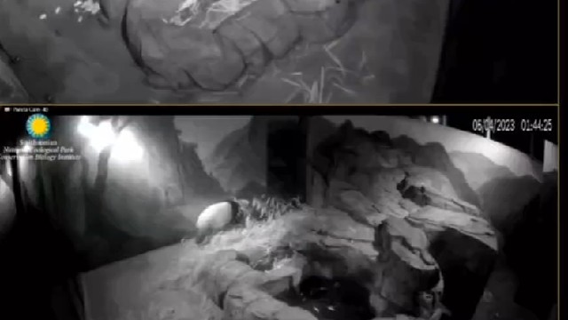 ＃关注美香一家