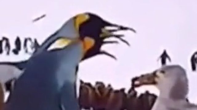 力氣真大啊，這倆饅頭確實沒白吃?。?/></span><div   id=