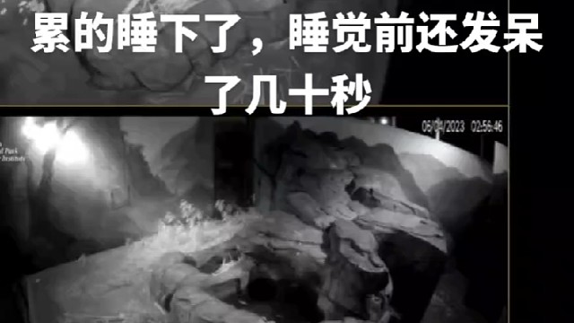 ＃关注美香一家