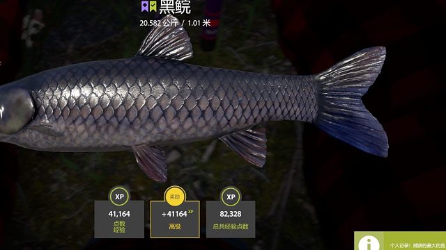 俄罗斯钓鱼4：21K手杆上20K黑草