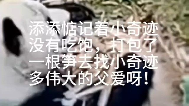 ＃关注美香一家