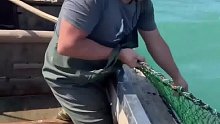 又是收獲滿滿的一天