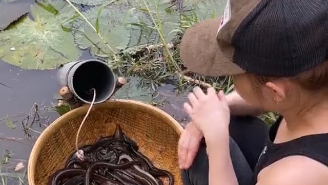 这玩意咬人是真的会出血