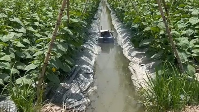 智慧的劳动人民