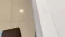 红白鼯鼠把扫把弄倒怕主人怪罪每个动作都是精心设计