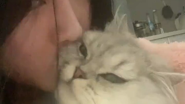 我的亲亲就这么嫌弃且无语嘛