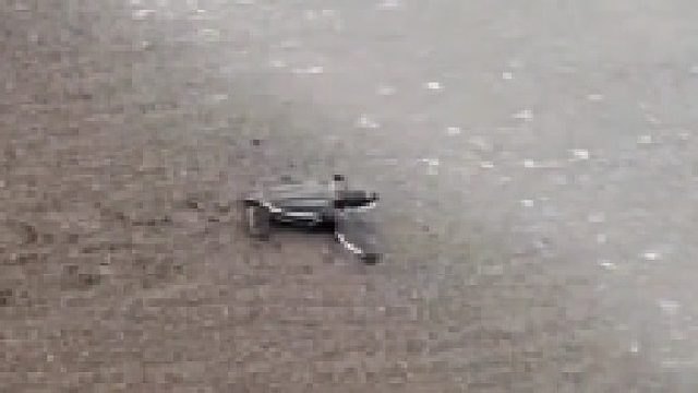 慢了一步多走两里路