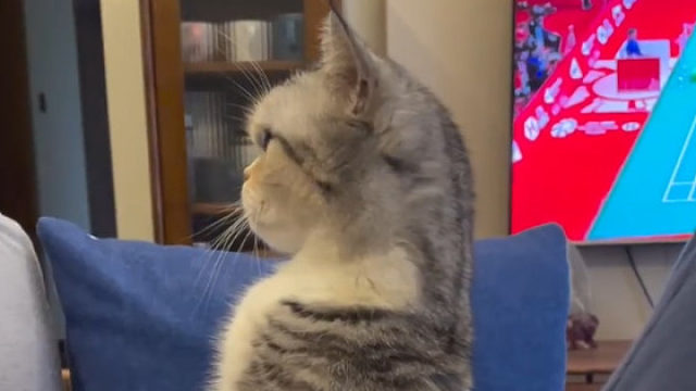 哎呀小乖乖，你在看什么呀？