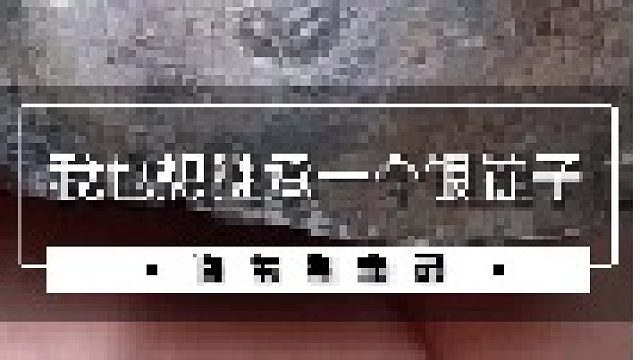 我也想继承一个银锭子