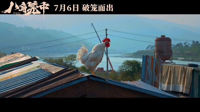 八角笼中一“骗”真心预告