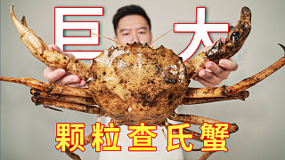 巨大顆粒查氏蟹，天花板級別的螃蟹，吃的我都傻笑起來