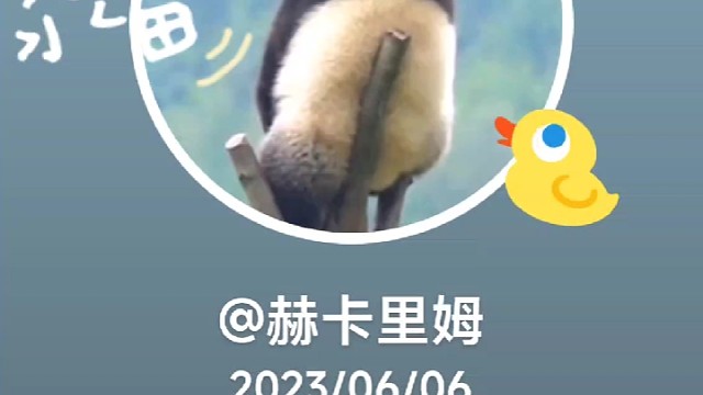 蚩尤！你原谅我了吗？