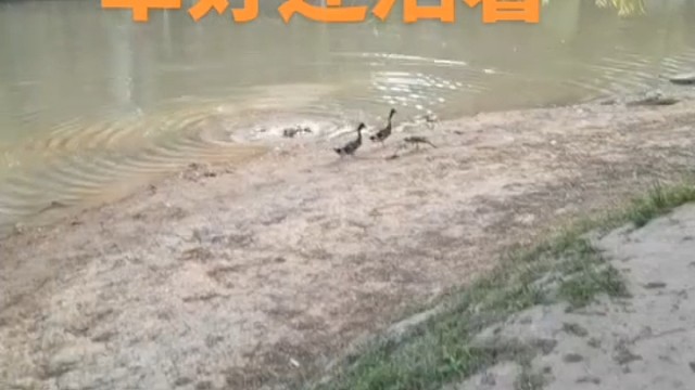 不放弃才有活路