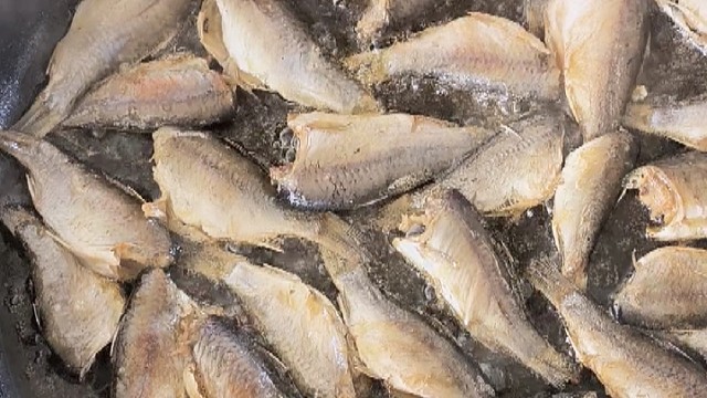 来老铁们吃鱼啦