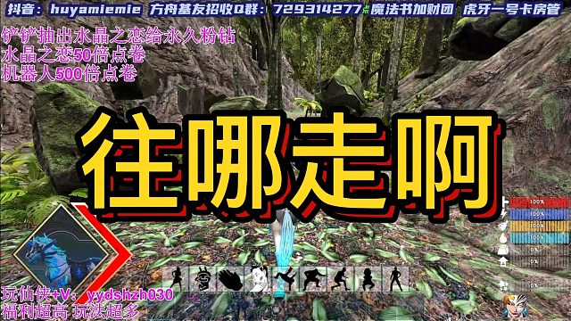 【咩咩】往哪走呢