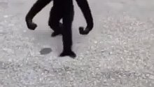 我还以为是毒液