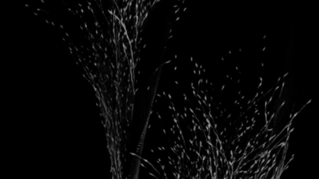 做交易不是说；你付出了就一定会有回报的