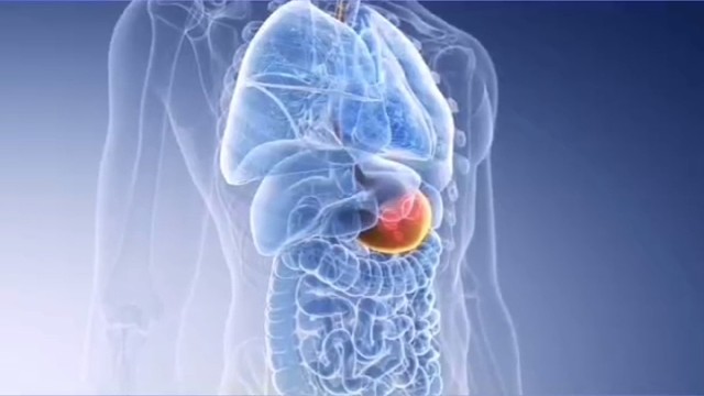 植物神经紊乱！！