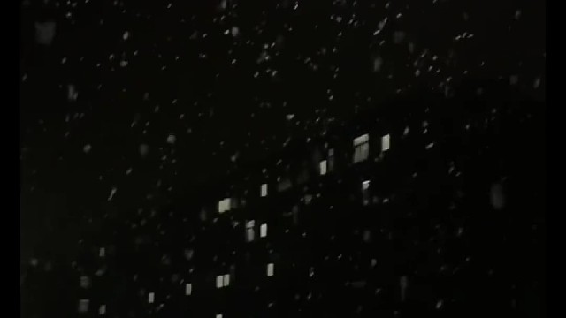 生活不易，过好每一天