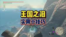 分享五个很实用的小技巧～塞尔达传说王国之泪王国之泪塞尔达传说游戏攻略