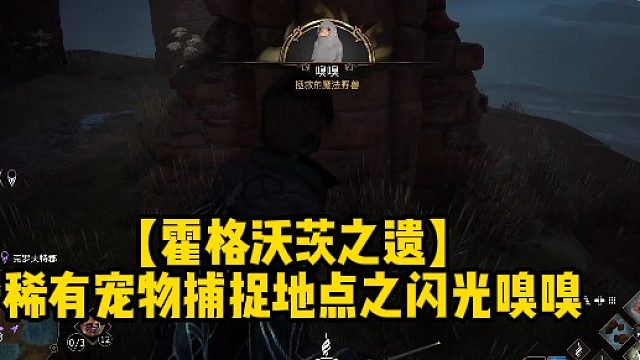【霍格沃茨之遗】稀有宠物捕捉地点之闪光嗅嗅