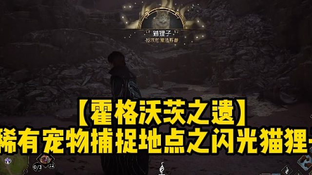 【霍格沃茨之遗】稀有宠物捕捉地点之闪光猫狸子