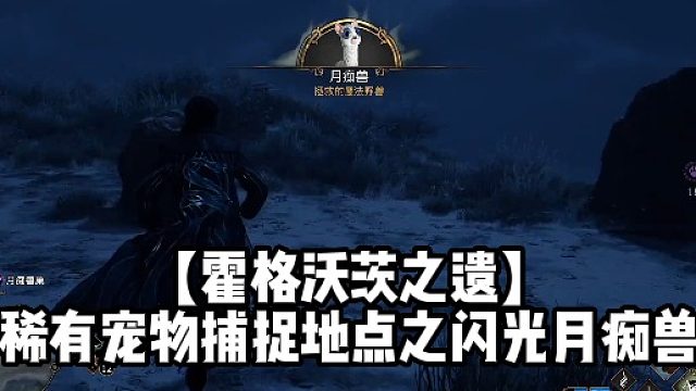 【霍格沃茨之遗】稀有宠物捕捉地点之闪光月痴兽